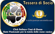 Immagine dell’area tesseramento ICBD
