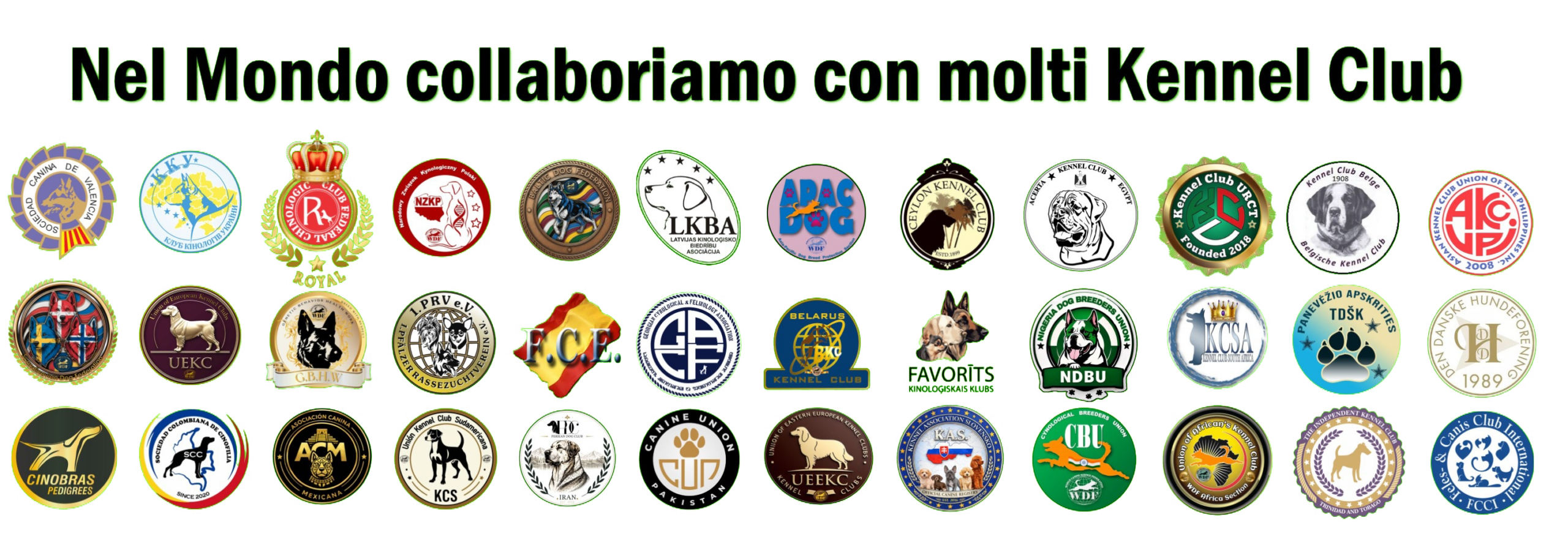 Club e organizzazioni internazionali che collaborano nel sistema WDF